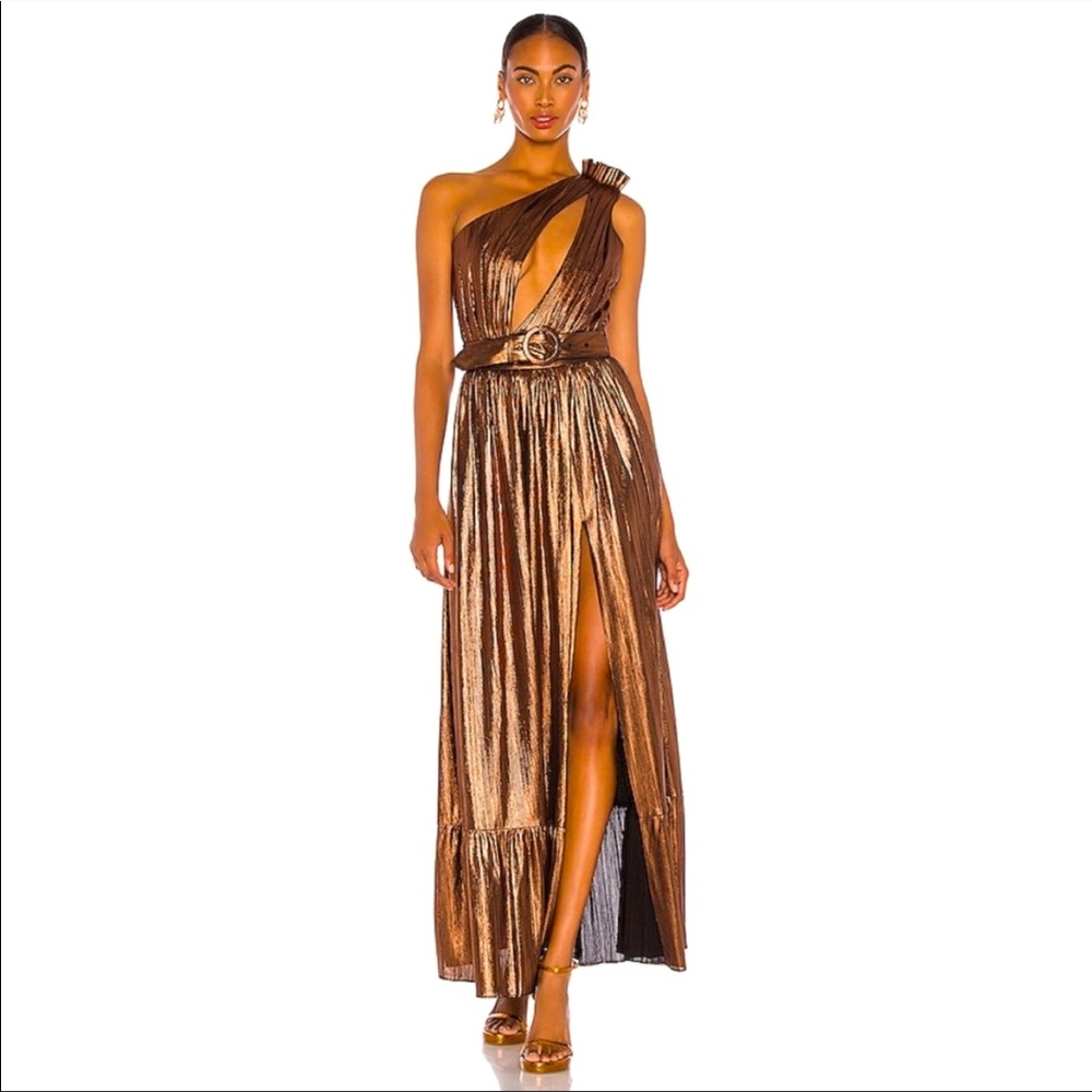 Gorgeous NWT bronze two piece Retrofete dress